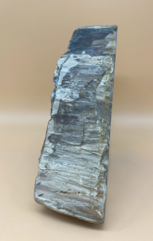 Preview: Australisches versteinertes Holz